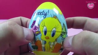 Tweety Surprise Egg Tweety Bird Surprise Toys Egg A Day Surprise Eggs Disney Collector