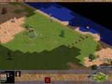 Age of Empires - Fast Iron Age Contes