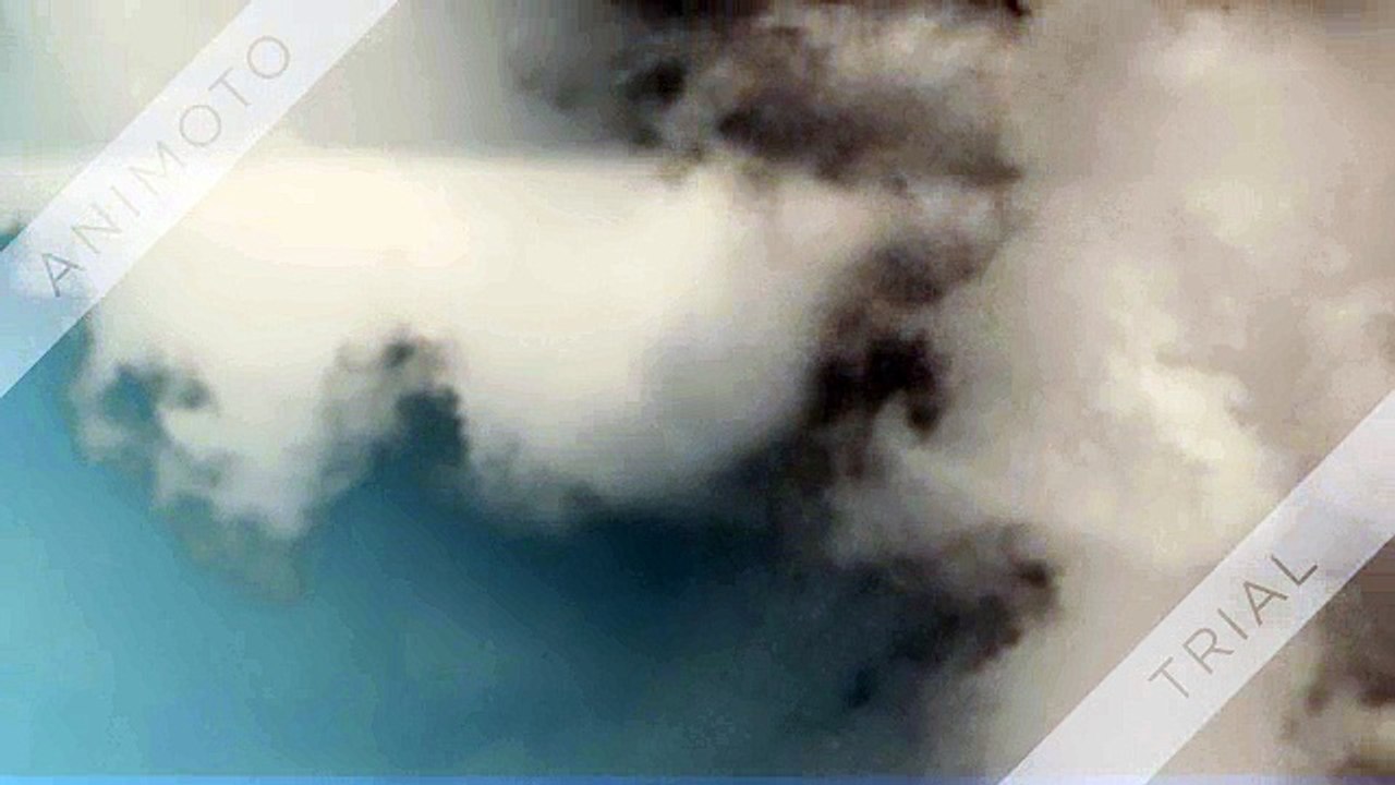 Tax dispute settlement services | Tax audit services