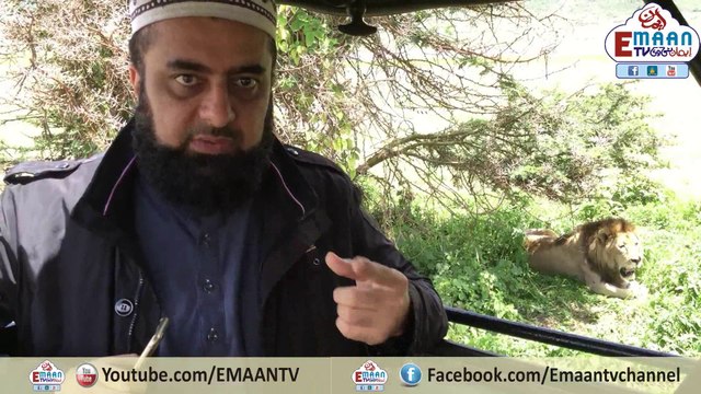 اللہ کی نشانیوں پر غور اور فکر افریقی تنزانیہ کے جنگل سے مفتی محمد زبیر صاحبAllah ki Nashaniyan Par Gaur Aur Fikar Africa Tanzania Ki Janglon Se Mufti Muhammad Zubair saab