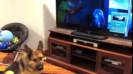 Zootopia İzlerken Kurtlara Eşlik Eden Köpek