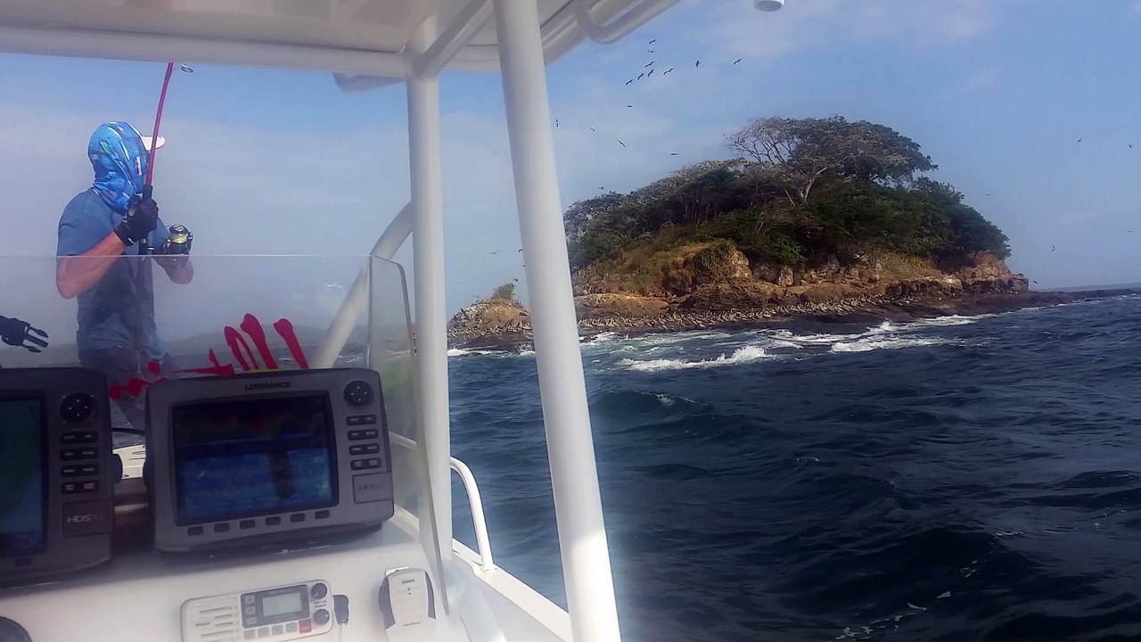 carrangue au panama