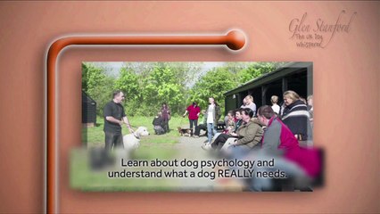 The UK Dog Whisperer