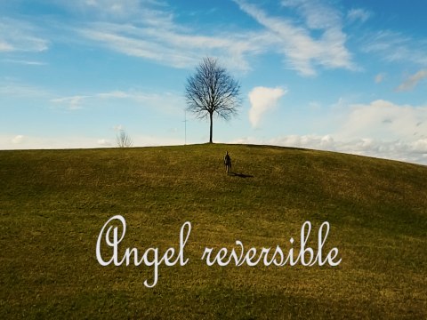 Angel reversible