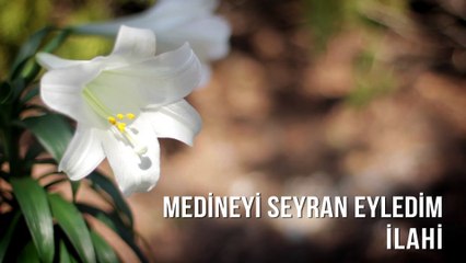 Müziksiz İlahiler - Medineyi Seyran Eyledim