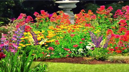 Twins Actors and Actresses