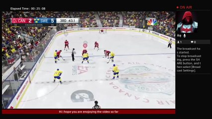 Danielb gaming nhl 17 gameplay (13)