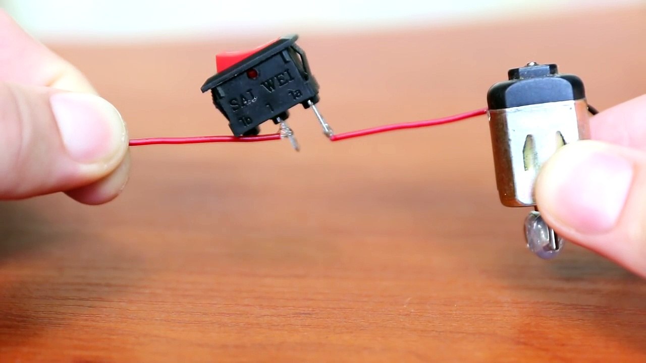 How to Make a Pet   DIY