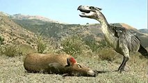 Prehistoric Predators: Terror Bird | National Geographic Documentary