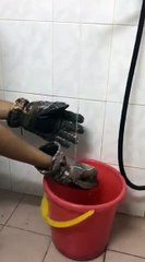 Găng tay chống loại tốt nhất thị trường cho dân phượt