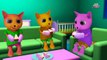 Three Little Kittens Went To The Park - Nursery Rhymes by Cutians™ | ChuChu TV Kids Songs