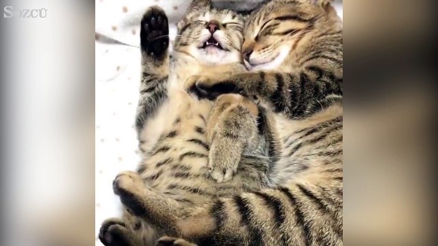 Kardeş kardeş uyuyorlar