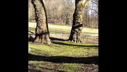 Chaudfontaine 1867 et la visite familiale de Victor Hugo