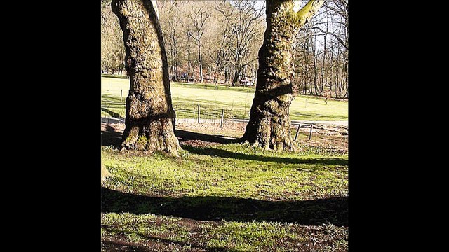Chaudfontaine 1867 et la visite familiale de Victor Hugo
