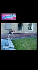 Top ten Funny Vedio Clip - Funny Vedio