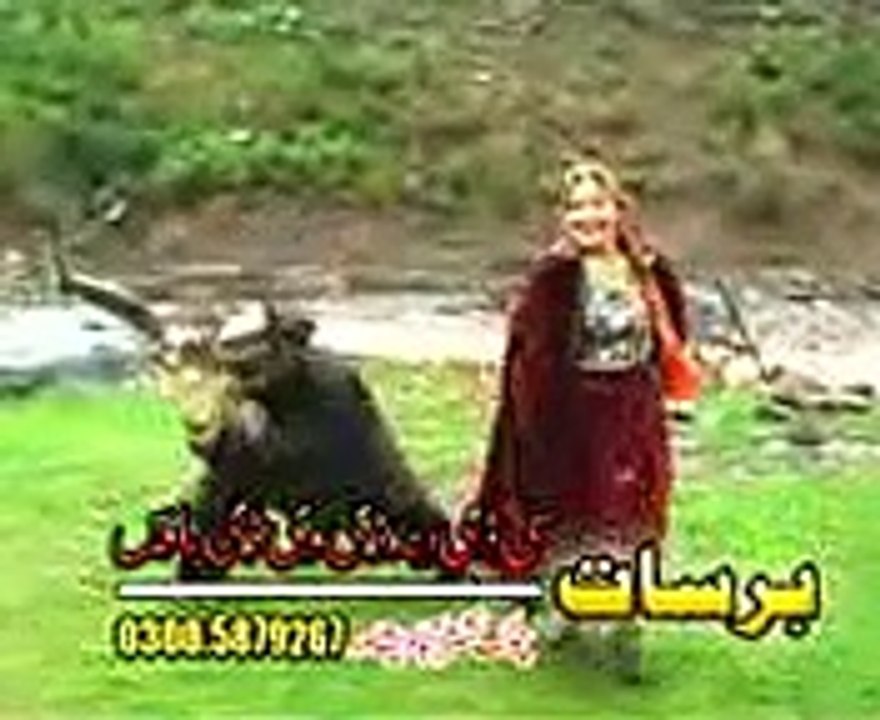 AVSEQ11 mpeg4new pashto hit song 2014
