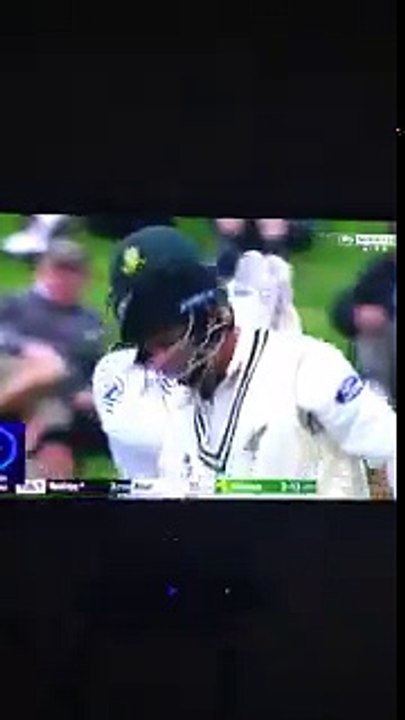 Crazy cricket fan