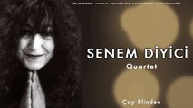 Senem Diyici Quartet - Çay Elinden [ Tell Me Trabizon © 1998 Kalan Müzik ]