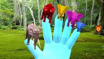 Colors Dinosaurs Elephant Vs Lion Finger Family | Animals Finger Family Nursery Rhymes Col