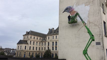Un mur aux couleurs brésiliennes