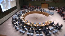 UN withdraws Israel’s apartheid report