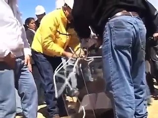 Cash Luna entierra una Biblia