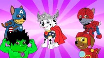 New Paw Patrol Avengers | Daddy Finger Nursery Rhymes for Children, Kids and Toddlers #Animation