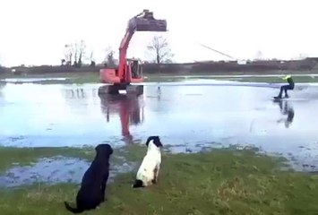 Yağmurda vinç ile sörf yapmak, sadece bize özel değilmiş