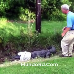 Sñor intenta atrapar este tremendo cocodrilo pero algo sale mal