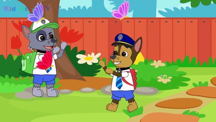 Paw Patrol Full Episodes - Paw Patrol Cartoon Nick Jr English - Animation Paw Patrol Playl