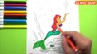 Learn to Color for Kids Children and Color Disney Ariel The Little Mermaid Coloring Pages