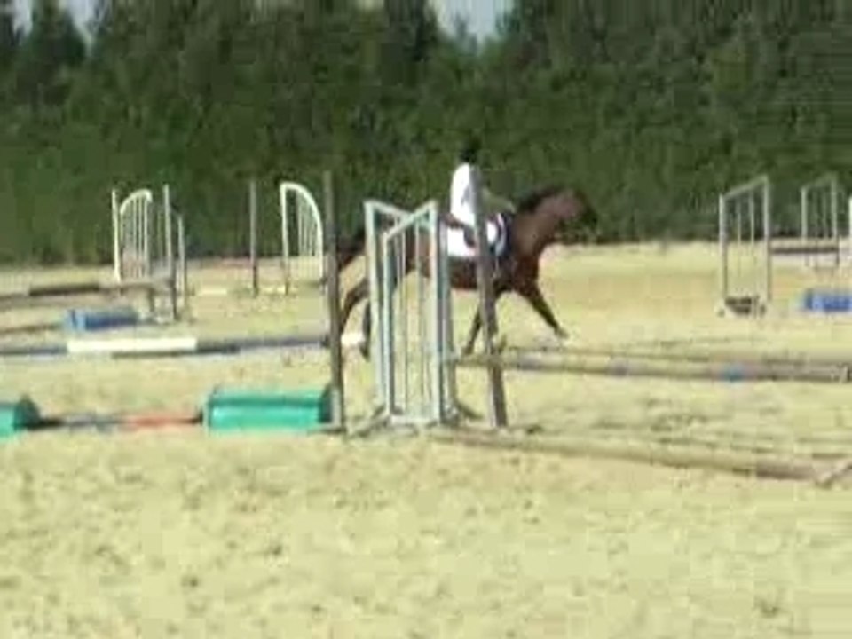 Fête du Cheval 2007 à La Crinière