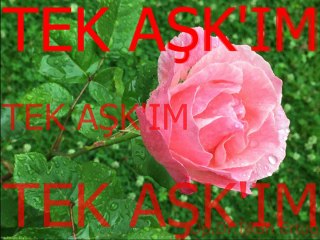 Çiğdem Gürdal-Bir Güneş Ki Doğmayacak