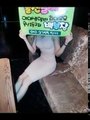 울산풀싸롱 tel 010 2755 5111 삼산동백부장 울산풀살롱 (1)