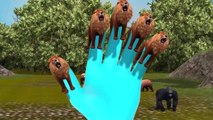 Lion Cartoon Finger Family Nursery Finger Family Rhymes Kids World Finger Family Rhymes