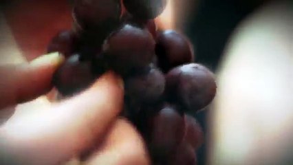 Zayn - Pillowtalk ..................................................................(Jozen One)