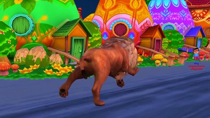 Lion Cartoon Singing Wee Willie Winkie | Finger Family Children Nursery Rhymes By Tiger Ca