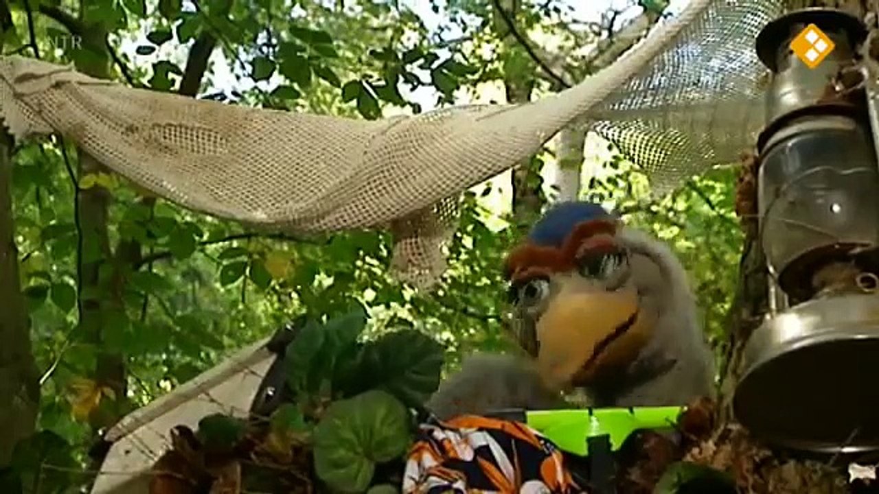 Koekeloere Weer herfstweer kijk je op npo nl