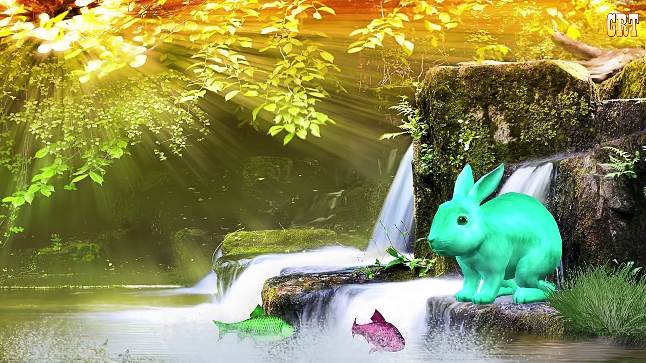 Rabbit Finger Family | Nursery Rhymes Farmees | Children Songs | Baby Rhymes | Kids Videos