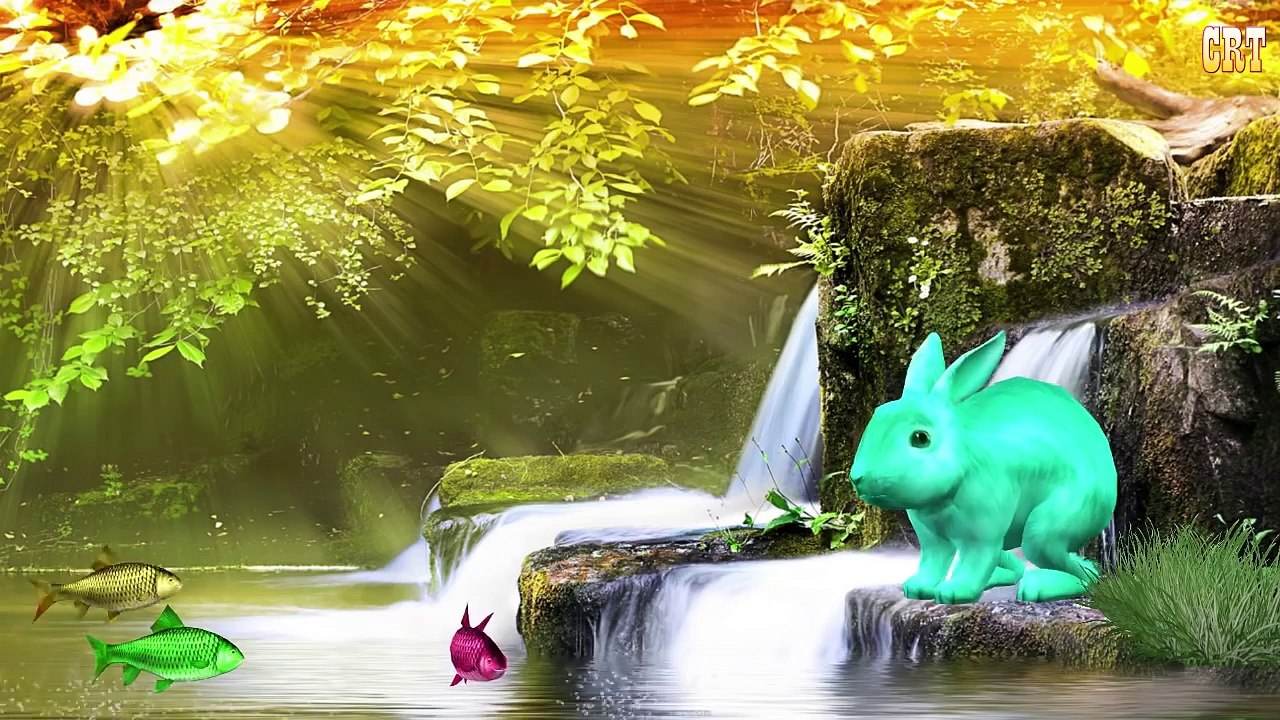 И животные ава Дейв ферма От Дети Узнайте питомник рифмы песни звуки