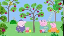 Peppa Pig English Episodes - New Compilation #87 - New Episodes Videos Peppa Pig
