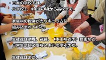 【海外の反応】日本とアメリカの差！学校教育の信じられない違いに外国人が仰天「私も日本で子供を育てたい…」