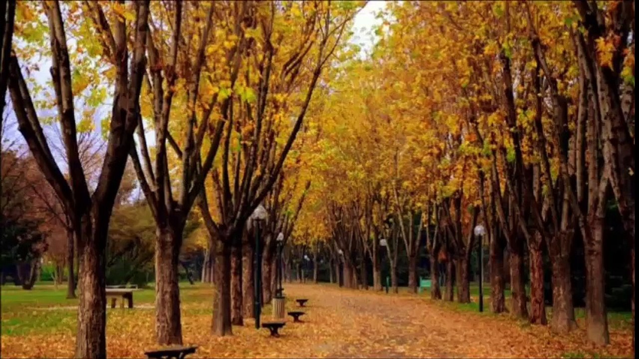 Occo Mahabad Bêbavê