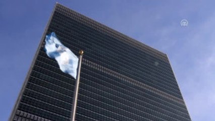 BM'de "Ufak Şirinler Büyük Hedefler" Etkinliği - New York