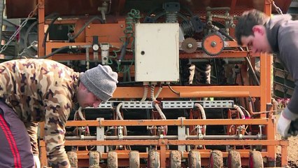 In pro-Brexit Kent, farmers count on EU workforce