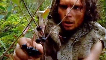 2 - DISCOVERY CHANNEL - EVOLUÇÃO - DOMINANDO AS FERAS