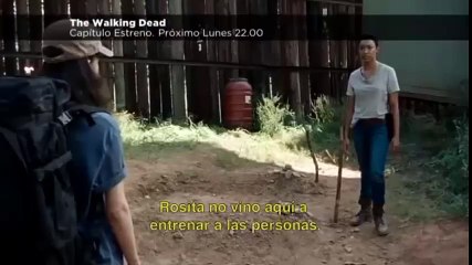 twd 7x14 promo