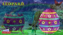 Surprise Eggs Wildlife Toys | Learn Wild Animals & Animal Sounds | ChuChu TV Surprise For