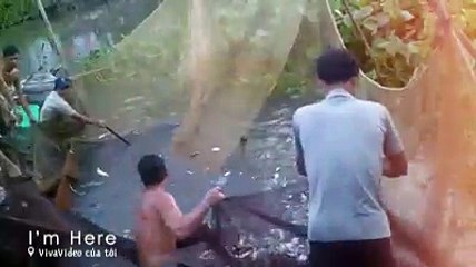 Kéo Lưới Bắt Cá Trên Sông Rất Vui