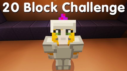 Minecraft PS4 - 20 Block Challenge - Portal Problems (21)